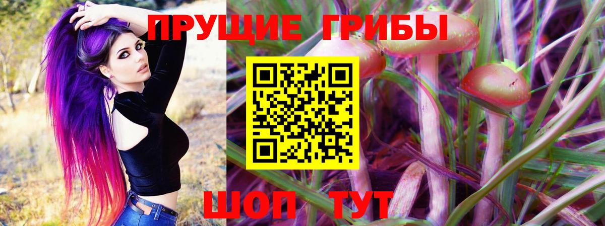 Галлюциногенные грибы MAGIC MUSHROOMS  Братск 