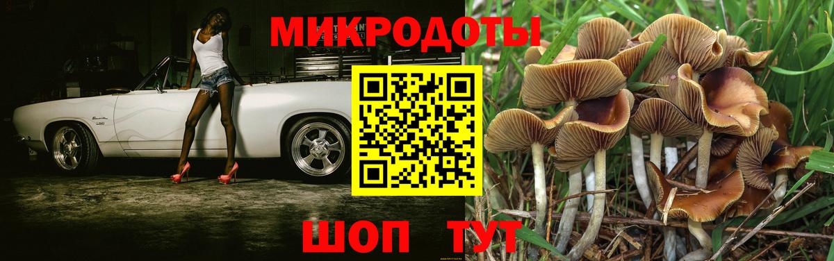 Псилоцибиновые грибы GOLDEN TEACHER  Вход с VPN  Братск 