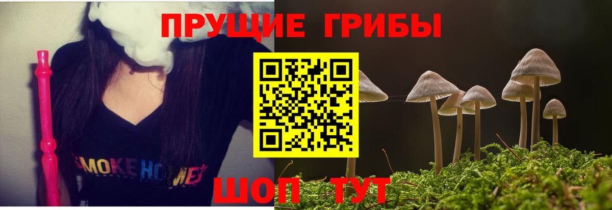 Псилоцибиновые грибы MAGIC MUSHROOMS Братск