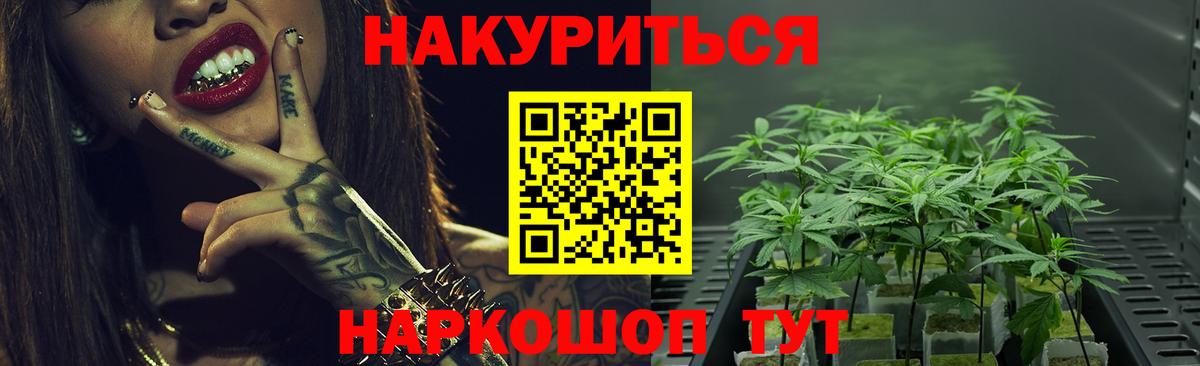 Бошки Шишки White Widow  Вход с VPN  Шишки марихуана конопля  Шишки марихуана марихуана  Братск  Каннабис план 